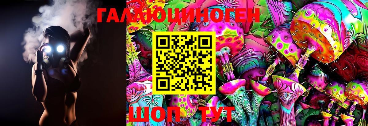 Псилоцибиновые грибы Psilocybe Белгород