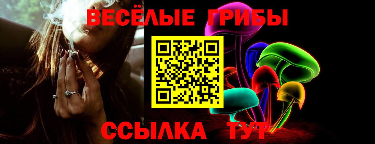 Белгород  Псилоцибиновые грибы Psilocybe  Вход с VPN 